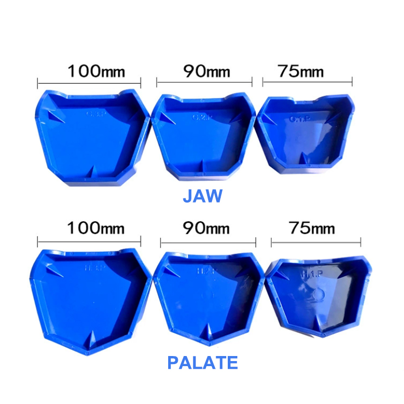 2/6Pcs Set Alas Model Gigi Sil - Teeth Whitening Trays ulasan dan harga