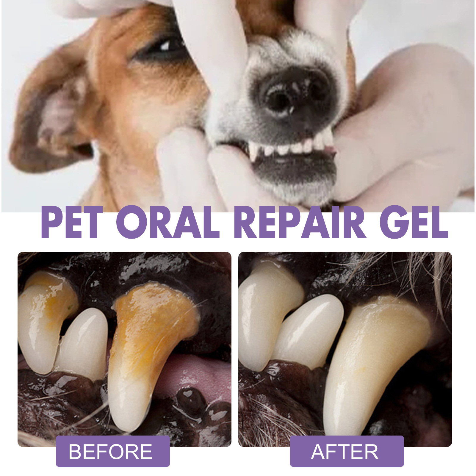 Gel perbaikan mulut hewan peli - Teeth Whitening Ai ulasan dan harga
